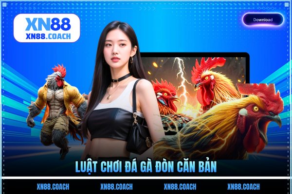 Luật chơi đá gà đòn căn bản
