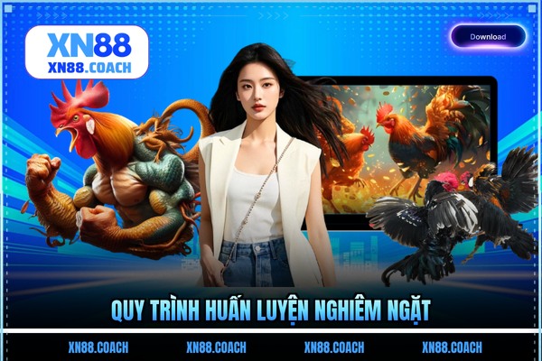 Quy trình huấn luyện nghiêm ngặt