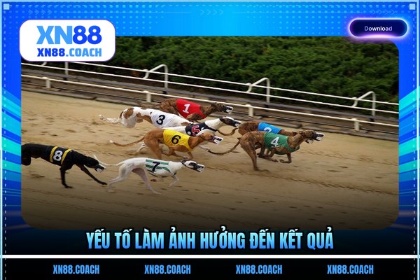 Yếu tố làm ảnh hưởng đến kết quả